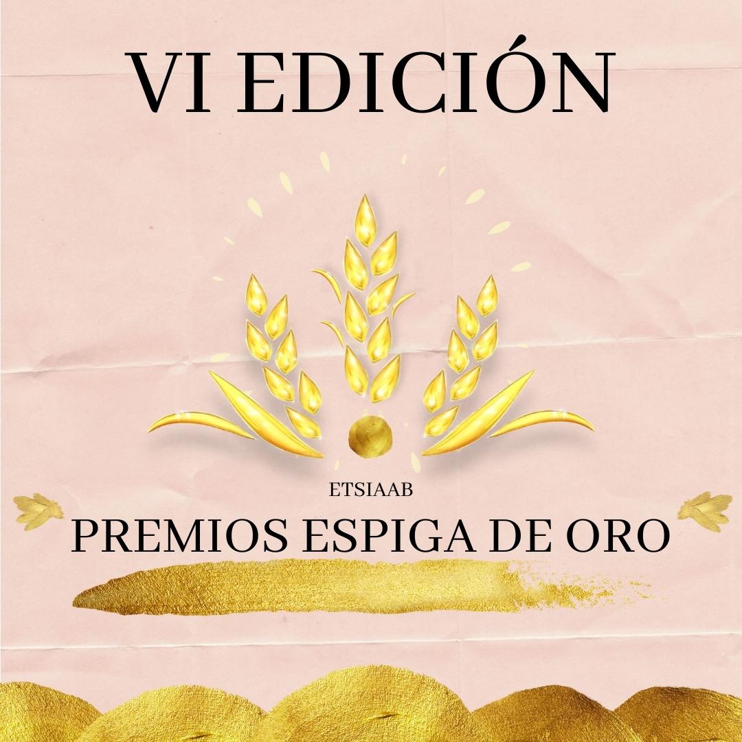 VI Edición